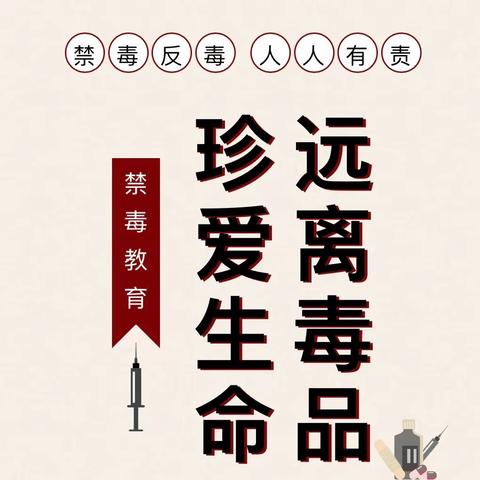 珍爱生命，远离毒品：一场警醒人心的实践之旅