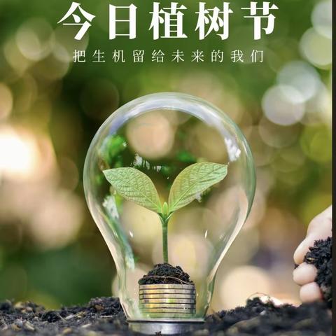 “植树节，我们共同的行动日”🌱