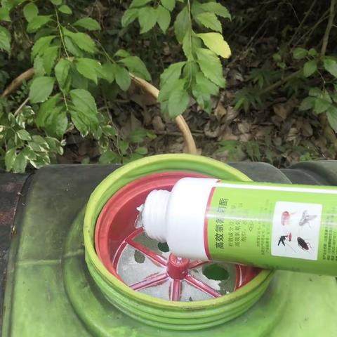 陶然湾小区2023年9月1日开展翻盆倒罐清理垃圾、积水活动汇报