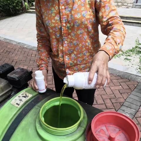 陶然湾小区2023年9月6日开展翻盆倒罐清理垃圾、积水活动汇报