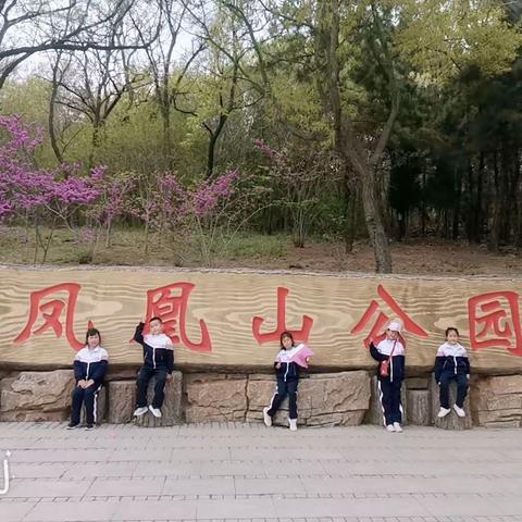 风景在路上，研途皆成长——烟台高新区崇文小学一年级五班凤凰山研学活动