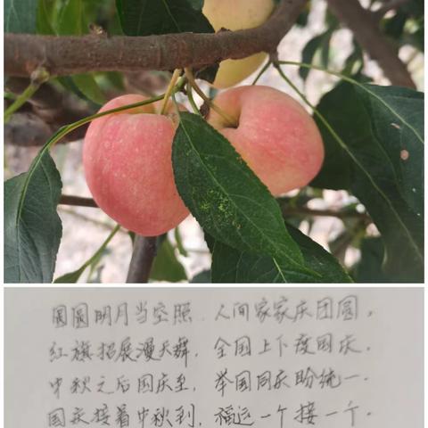 幸福双节，安全第一