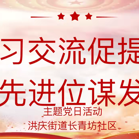 “学习交流促提升 争先进位谋发展”——长青坊社区主题党日活动