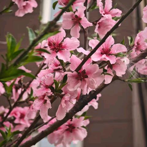 九溪竹韵3月工作简报