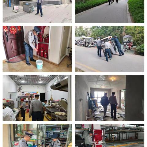 枫林九溪竹韵4月简报