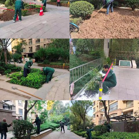 九溪竹韵十月工作简报