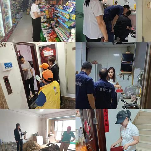 6月工作简报
