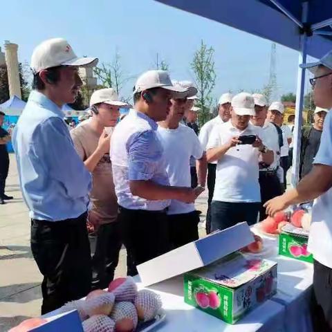 韩城市农业农村局9月14日工作动态