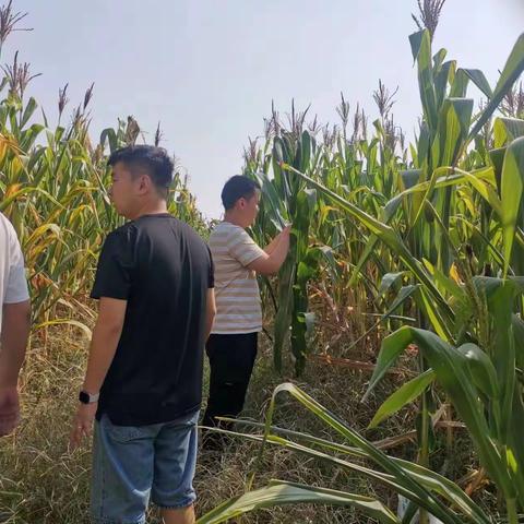 韩城市农业农村局9月15日工作动态