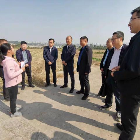 韩城市农业农村局10月10日工作动态