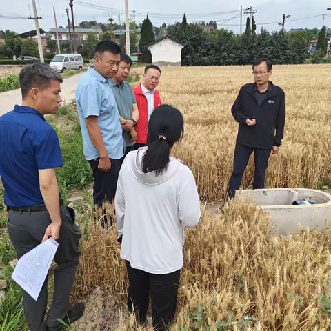 韩城市农业农村局6月5日工作动态