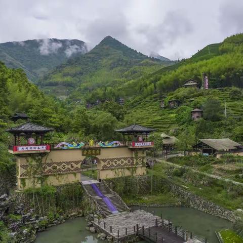 上春山  采茶忙 —— 启文小学一（4）班东弄“畲乡小农夫”研学活动