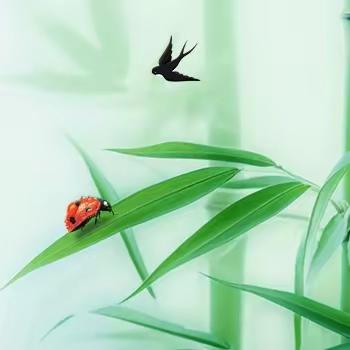 绿意盎然，装扮校园--我们的树木装饰活动