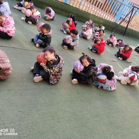 记录幼儿园快乐生活—百树班一周生活