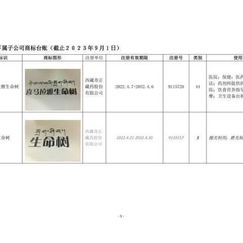 公司知识产权管理月报