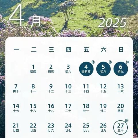 开封市祥符区半坡店卫生院2025年清明节