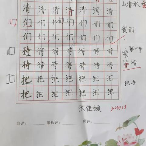 【203班】张佳媛的寒假实践报告