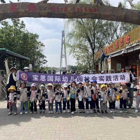 宝恩幼儿园“初夏之约，蝉鸣鸟叫”社会实践活动 小二班