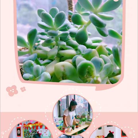 时光恰好✨幼见精彩🧚🏻‍♀️     水岸阳光彩虹摇篮幼儿园    🏠  《小一班》    第十七周精彩回顾🎀