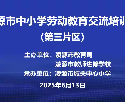 深耕劳动教育沃土 ﻿赋能五育融合新篇 ——凌源市第三片区劳动教育交流培训会活动纪实