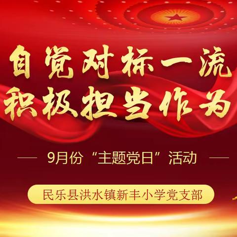 新丰小学党支部开展“自觉对标一流，积极担当作为”主题党日活动