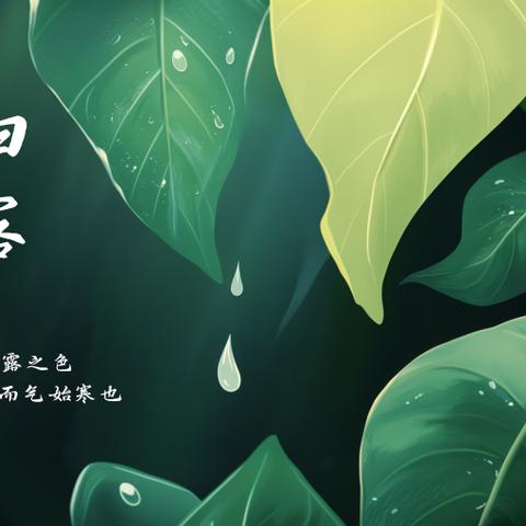 礼乐托管一周营养食谱 （09月08日-09月12日