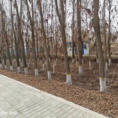 春日行动，共筑美丽家园