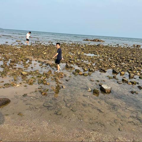 友谊大街小学崔露源去海边旅游啦