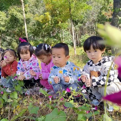 🌟生活明朗 万物可爱🥳  🌻不负每一份美好🌈 🌲投送和小朋友的日常🍂 🌴美好的一天开始啦🌻