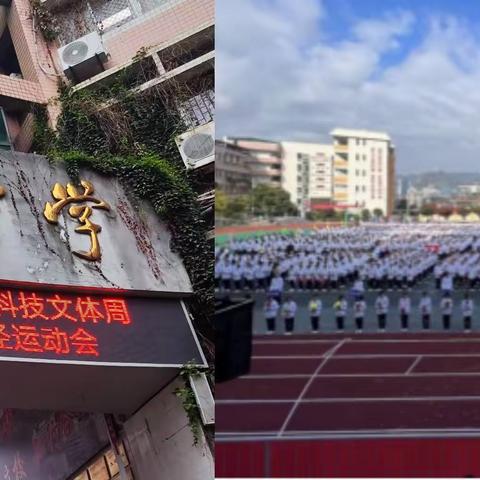 凝聚青春之力，闪耀青春之光 ——记浦贝中学文体活动周.                203班活动剪影