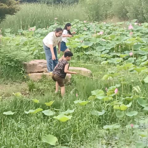 沉默是金的简篇