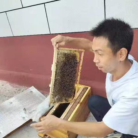 白雁河上的领头雁——记宜阳县白雁河农场负责人张玉峰