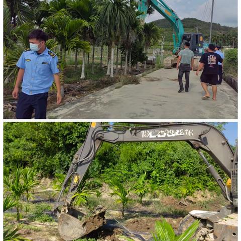 梅东村配合区农业农村局等部门开展耕地“非粮化”问题专项整治行动