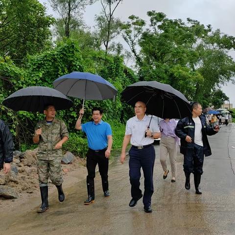 马踏镇广大党员干部奋战在防汛抗洪抢险一线