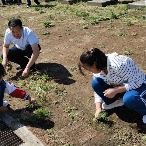 清除杂草美化校园——金城乡学校田园劳动实践活动