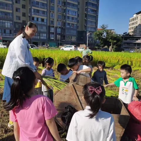 【招生•公告】金色童年幼儿园2025年春季招生开始啦