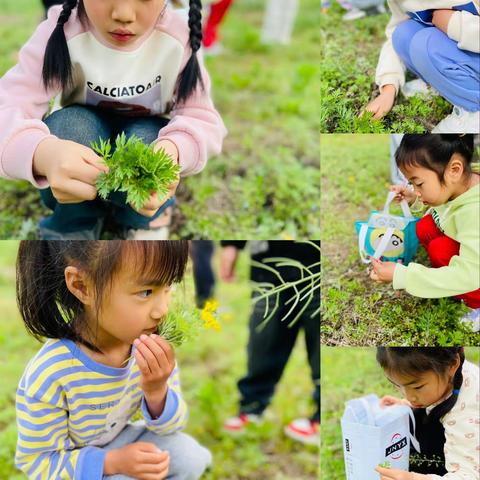 万村幼儿园一周动态（2024年4月1日～2024年4月3日）