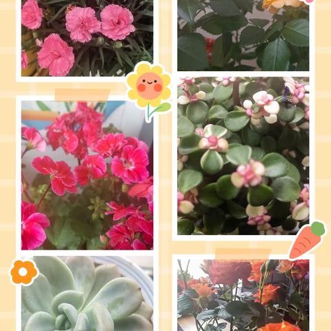 合作一小读书节活动侧记二