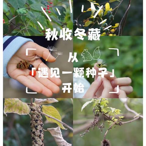 🪴植物科学实验室开课啦