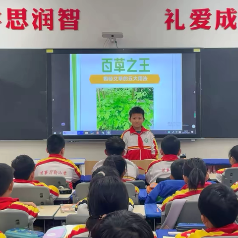 中医文化传经典，艾草馨香溢校园—开封市理事厅街小学中医药文化进校园活动