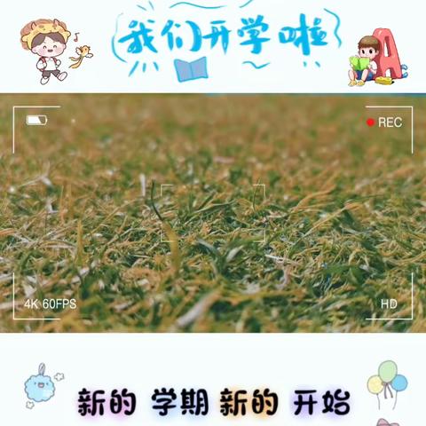 “幼”见美好🌸—华之语幼儿园大班周报📩