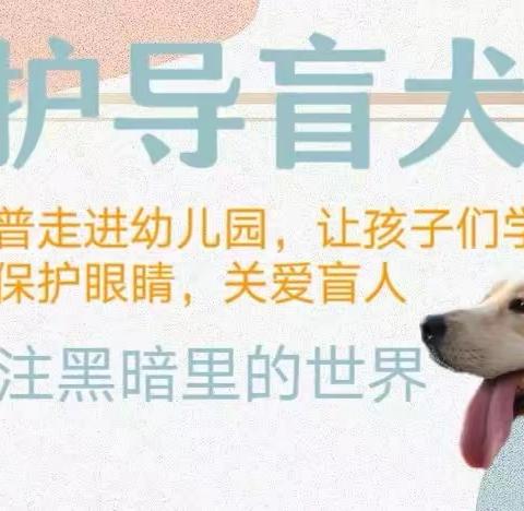 “接纳我  温暖你  ”——导盲犬