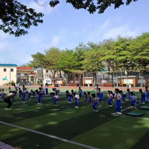 天涯小学体育组教学研讨活动