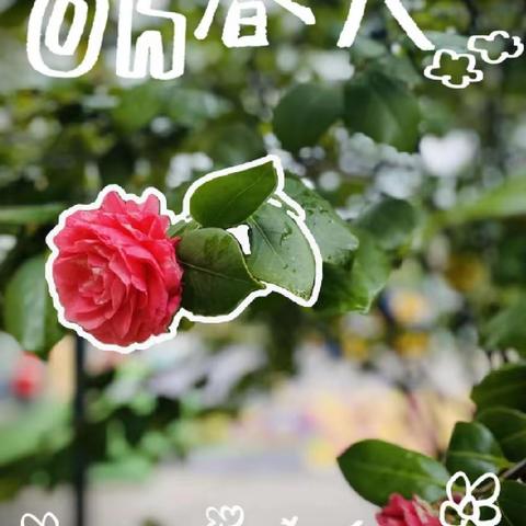 春风润物 “植”得美好！