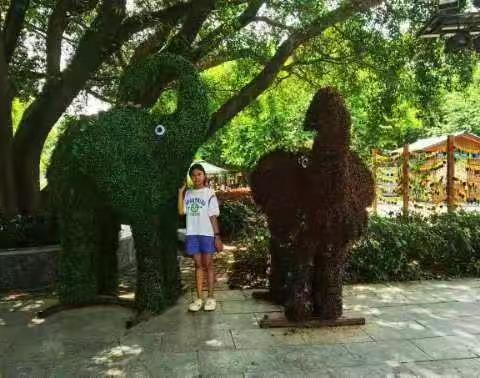 暑假与爸妈共游记‌