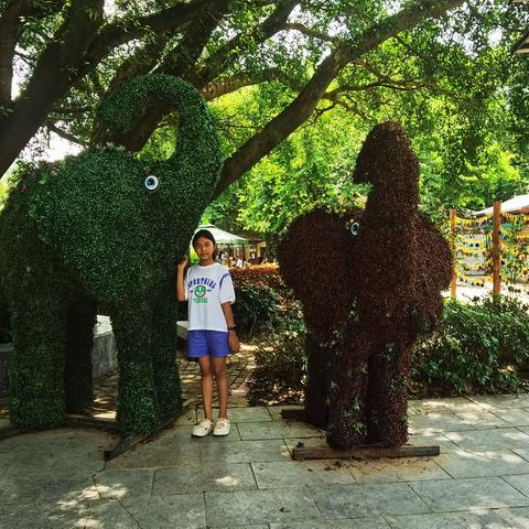 暑假与爸妈共游记‌