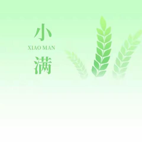 🌾初夏迎小满，万物皆欢喜 津南十三幼小满活动（大班组）