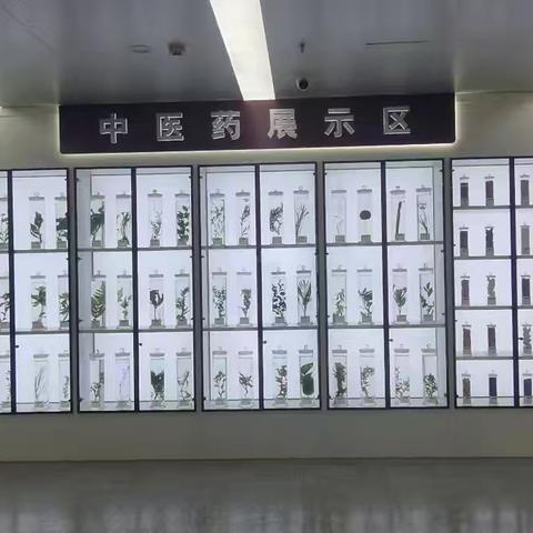 传承千年智慧 守护中华魂