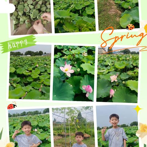 王艳～陶瓷批发的简篇