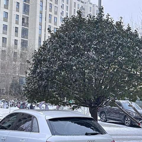 宝湖湾十二月份月报